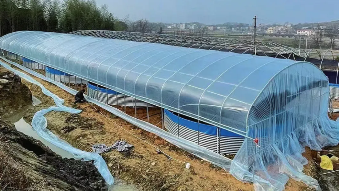 Greenhouse Aerial View