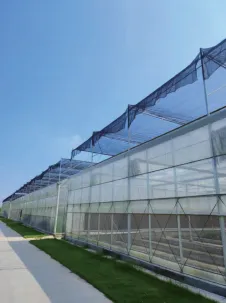 Greenhouse Exterior View