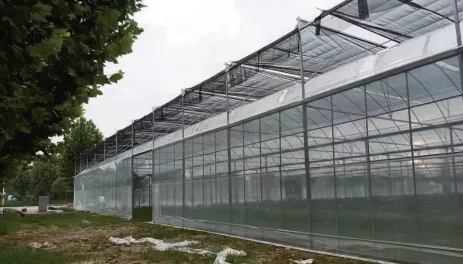 Greenhouse Exterior Angle 2