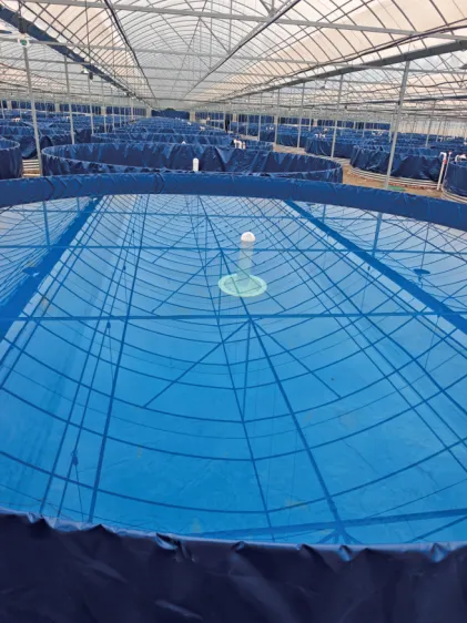Greenhouse with Water Tank