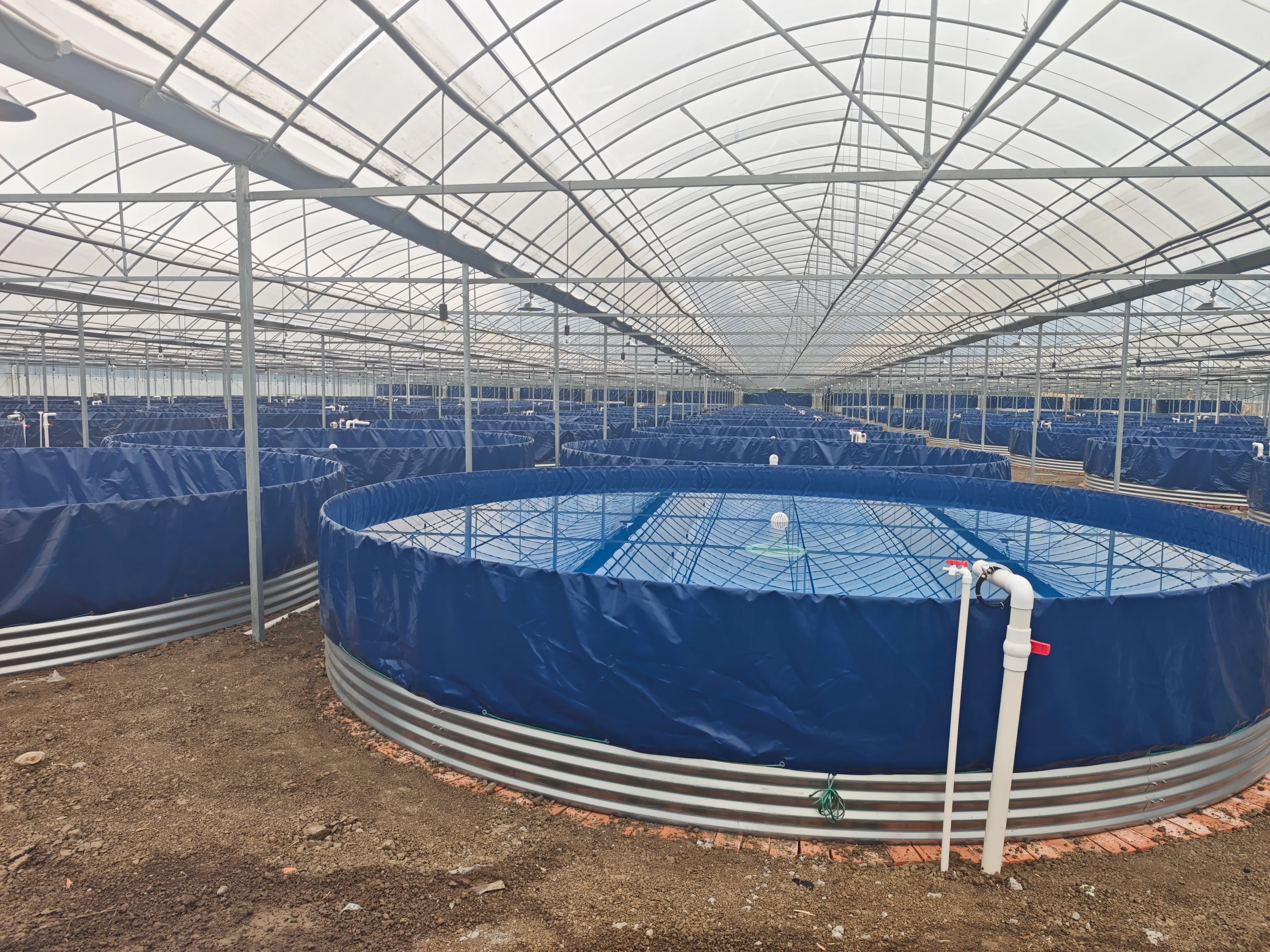 Greenhouse Water Tank Overall