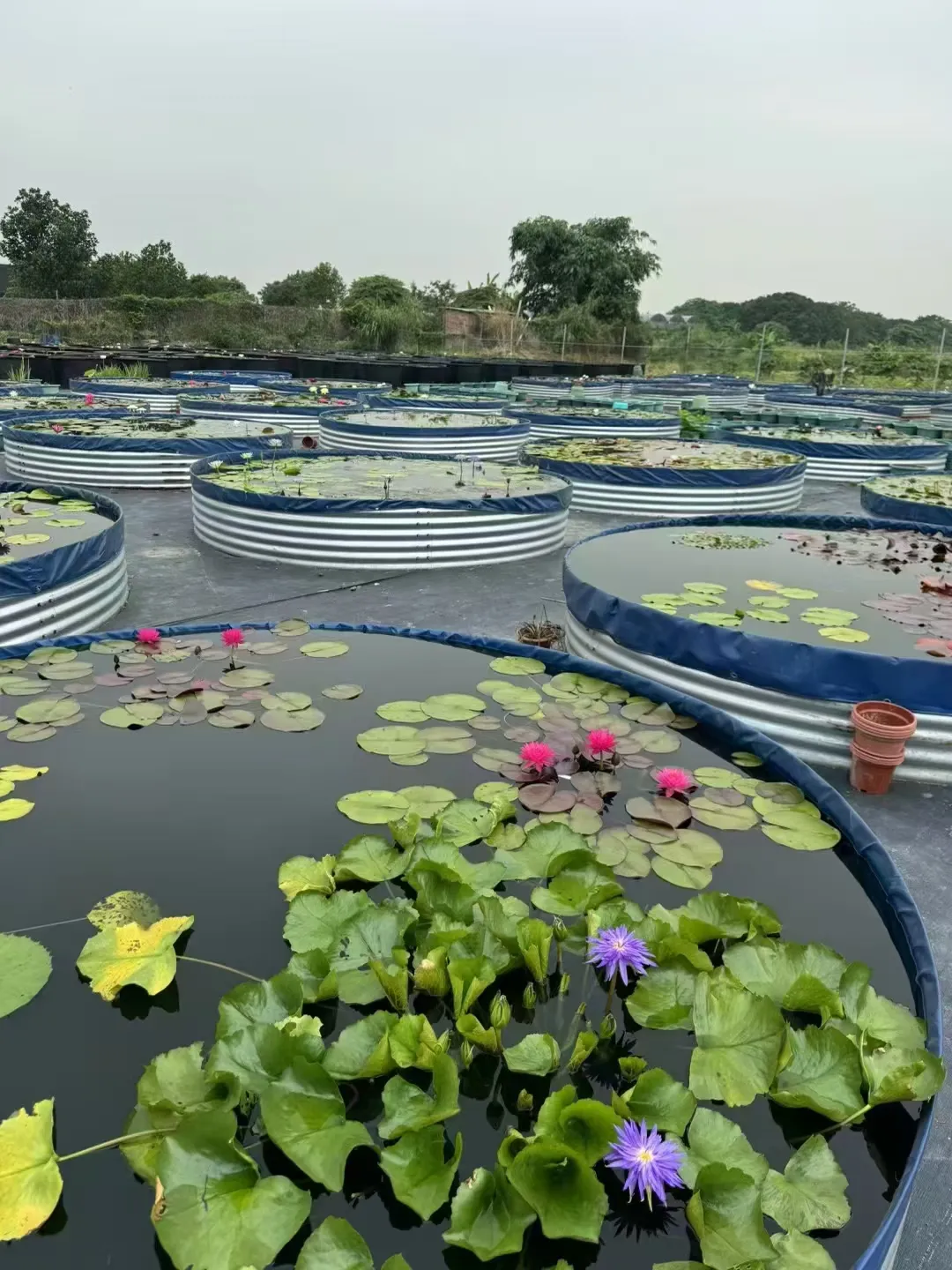 Agricultural Irrigation
